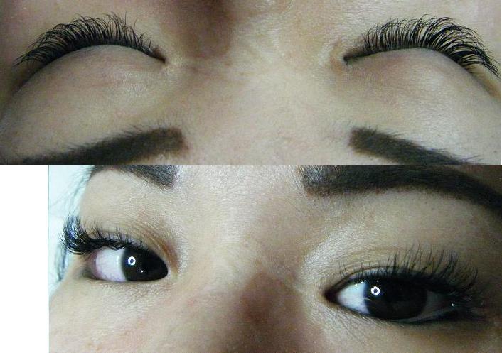 Glamour volume lashes — luxury beauty studio Maryland