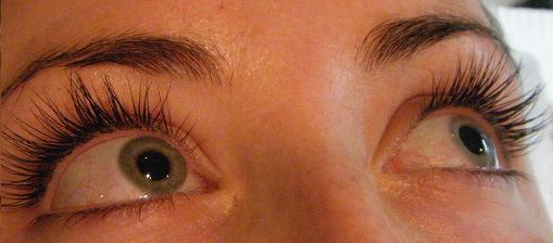 Lash extension close-up — expert application Timonium MD